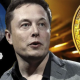 Tesla CEO Elon Musk Says U.S. Government Should Avoid Regulating Crypto