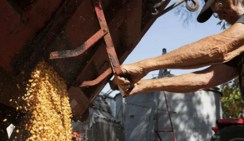 Price Of Corn Hits 9-Year High As Surge In Commodities Continue